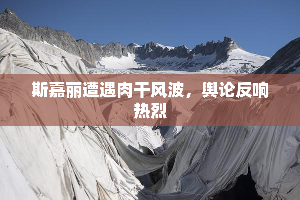 斯嘉丽遭遇肉干风波，舆论反响热烈