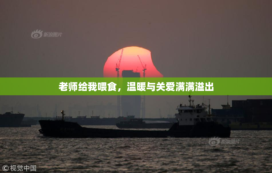 老师给我喂食，温暖与关爱满满溢出