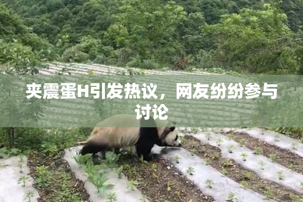 夹震蛋H引发热议，网友纷纷参与讨论