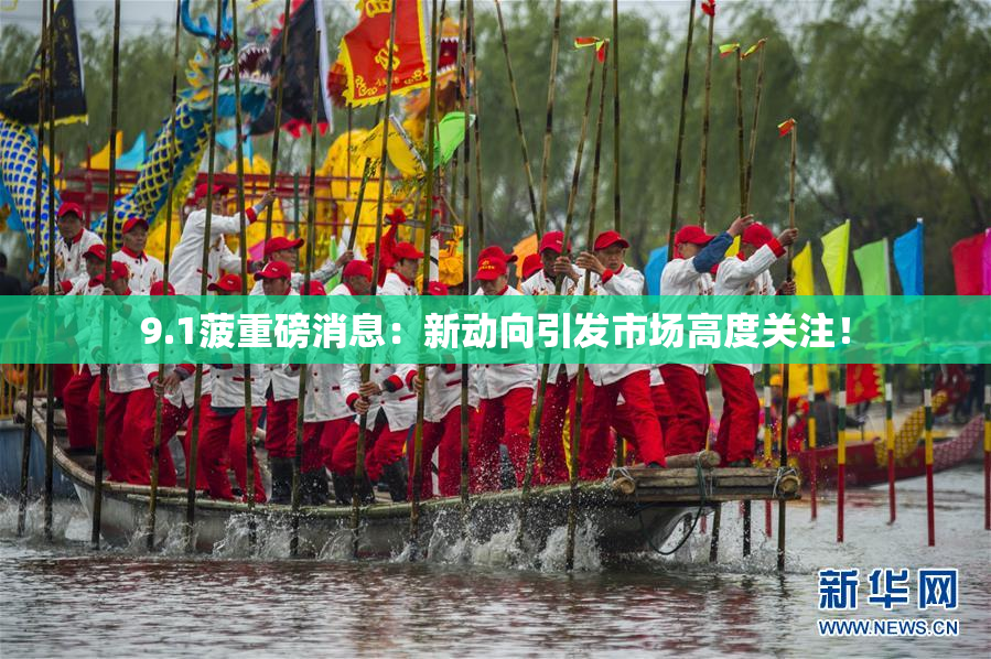 9.1菠重磅消息：新动向引发市场高度关注！