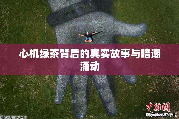 心机绿茶背后的真实故事与暗潮涌动
