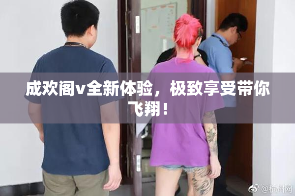 成欢阁v全新体验，极致享受带你飞翔！