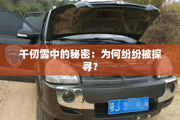 千仞雪中的秘密：为何纷纷被探寻？