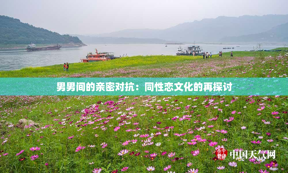 男男间的亲密对抗：同性恋文化的再探讨