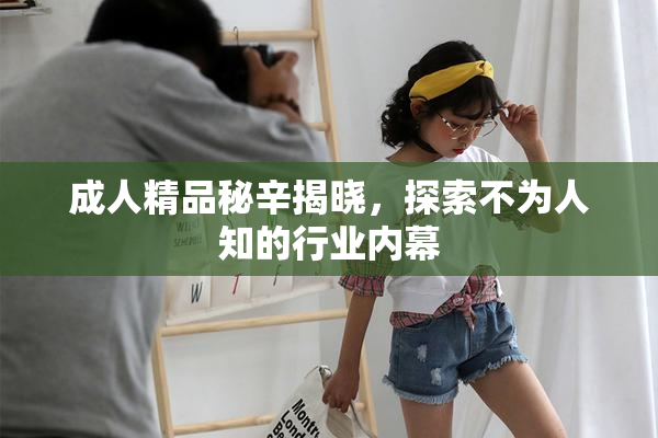 成人精品秘辛揭晓，探索不为人知的行业内幕