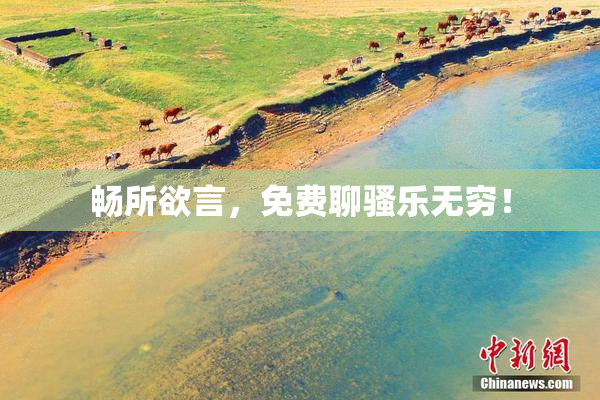 畅所欲言，免费聊骚乐无穷！