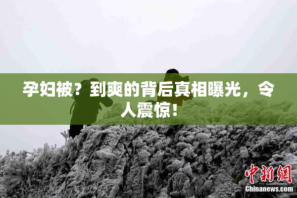 孕妇被？到爽的背后真相曝光，令人震惊！