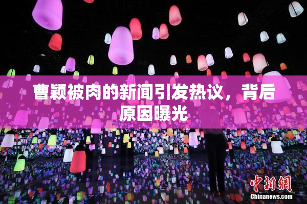 曹颖被肉的新闻引发热议，背后原因曝光