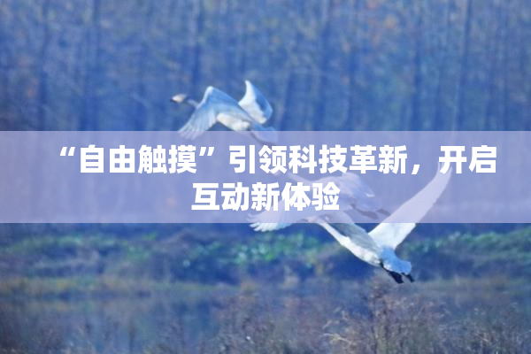 “自由触摸”引领科技革新，开启互动新体验