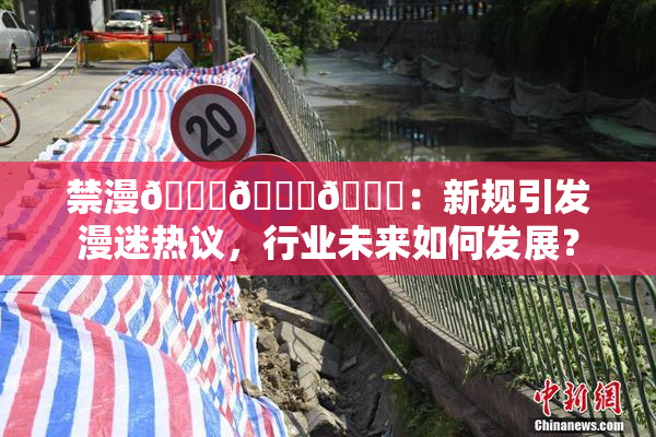 禁漫🍆🍑🔞：新规引发漫迷热议，行业未来如何发展？