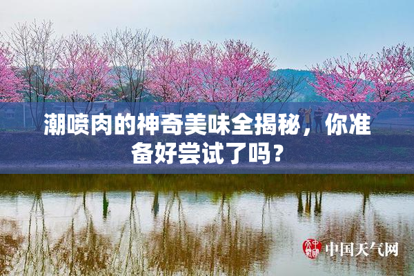 潮喷肉的神奇美味全揭秘，你准备好尝试了吗？