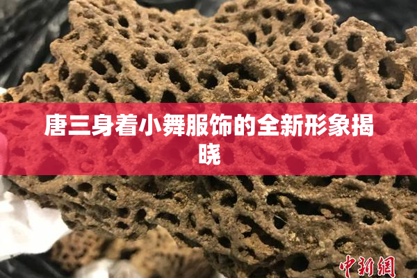 唐三身着小舞服饰的全新形象揭晓
