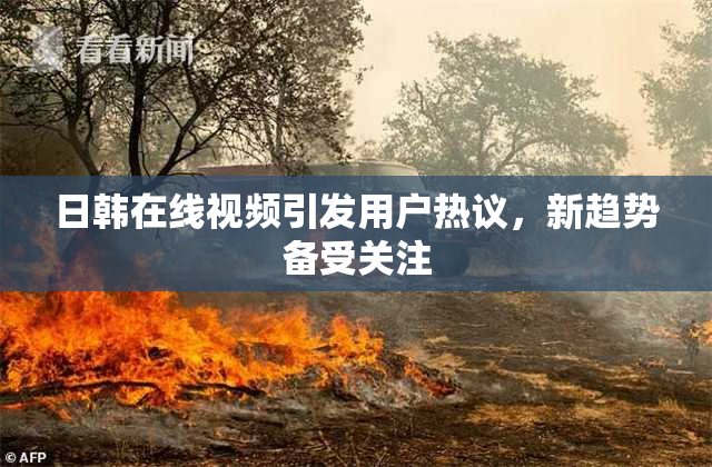 日韩在线视频引发用户热议，新趋势备受关注