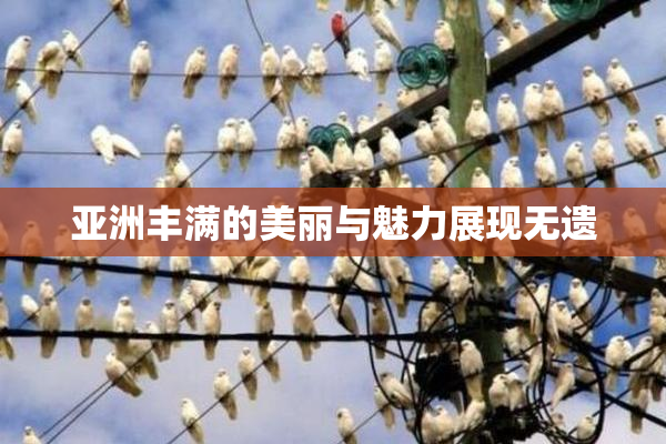 亚洲丰满的美丽与魅力展现无遗
