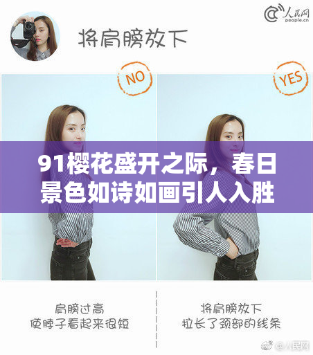 91樱花盛开之际，春日景色如诗如画引人入胜