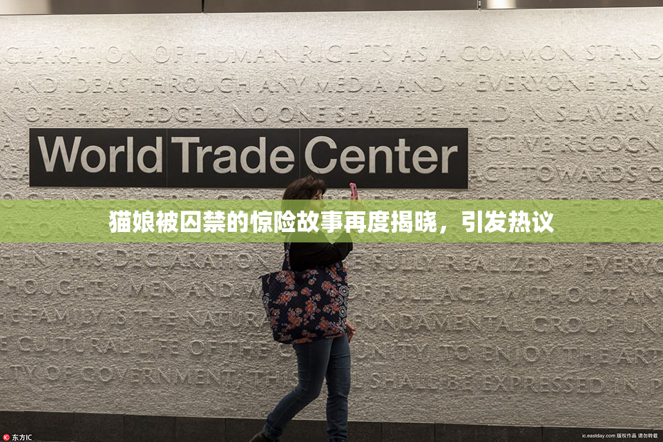 猫娘被囚禁的惊险故事再度揭晓，引发热议