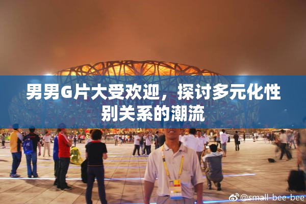 男男G片大受欢迎，探讨多元化性别关系的潮流