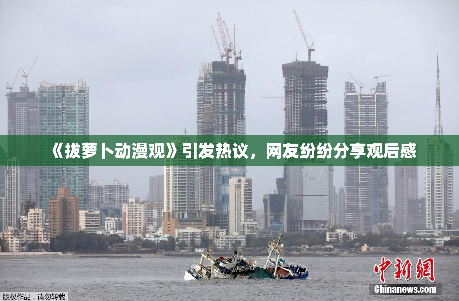 《拔萝卜动漫观》引发热议，网友纷纷分享观后感