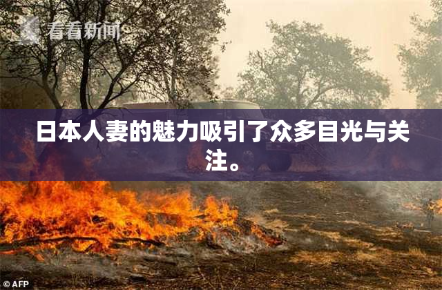 日本人妻的魅力吸引了众多目光与关注。