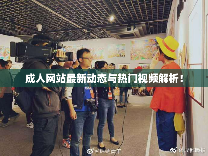 成人网站最新动态与热门视频解析！