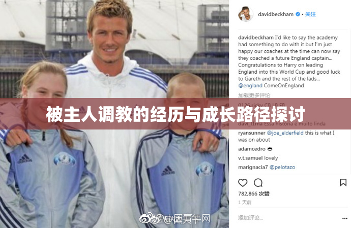被主人调教的经历与成长路径探讨