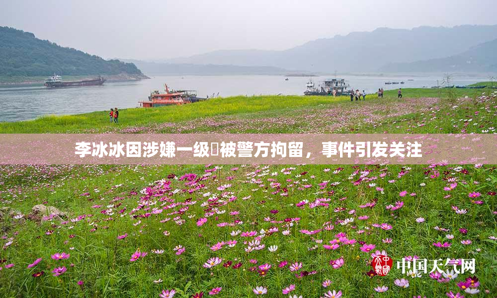 李冰冰因涉嫌一级婬被警方拘留，事件引发关注