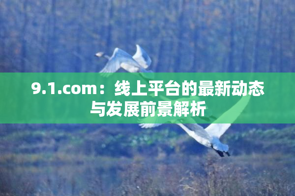 9.1.com：线上平台的最新动态与发展前景解析