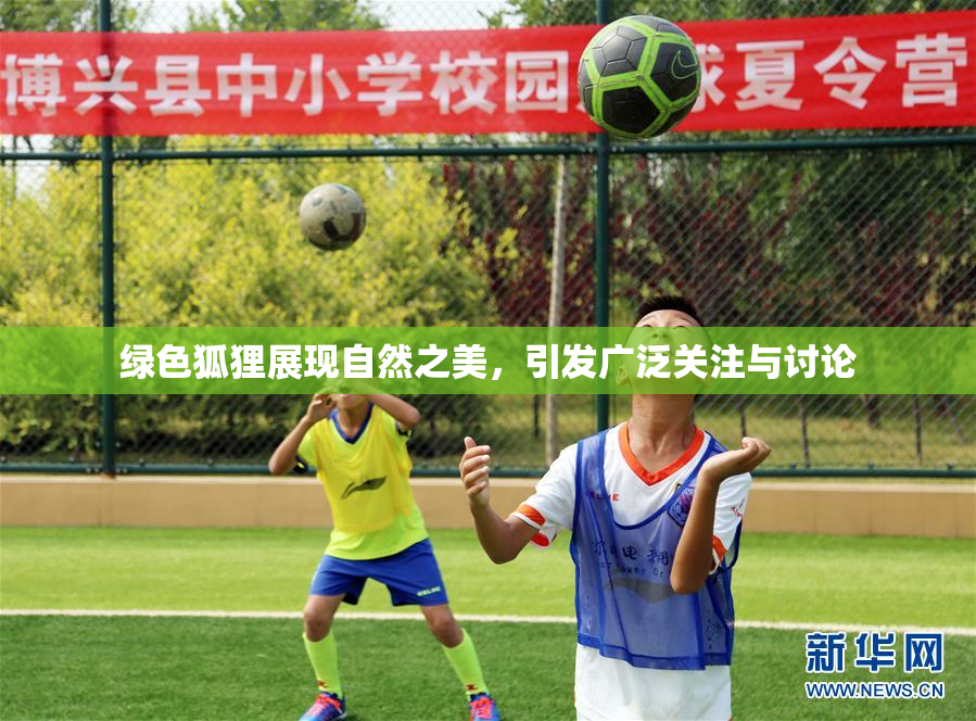 绿色狐狸展现自然之美，引发广泛关注与讨论