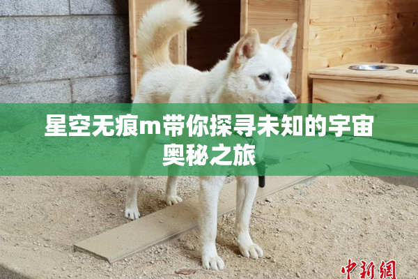 星空无痕m带你探寻未知的宇宙奥秘之旅