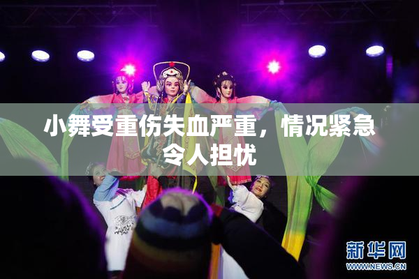 小舞受重伤失血严重，情况紧急令人担忧