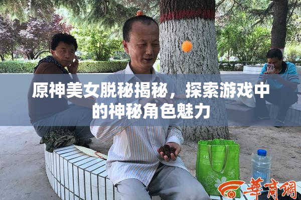 原神美女脱秘揭秘，探索游戏中的神秘角色魅力