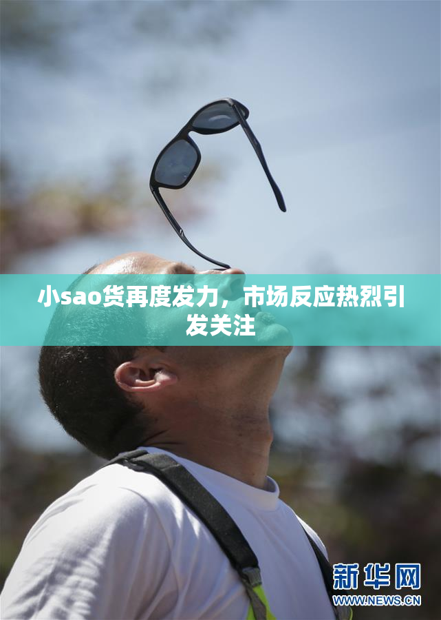 小sao货再度发力，市场反应热烈引发关注