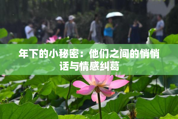 年下的小秘密：他们之间的悄悄话与情感纠葛