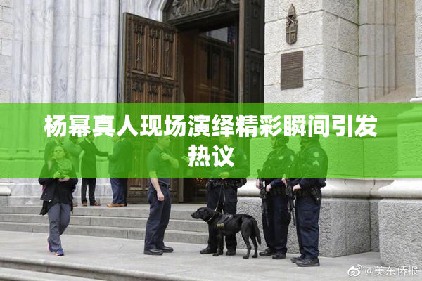 杨幂真人现场演绎精彩瞬间引发热议