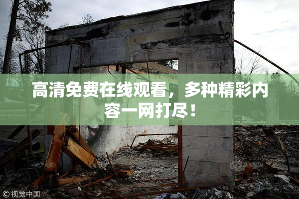 高清免费在线观看，多种精彩内容一网打尽！