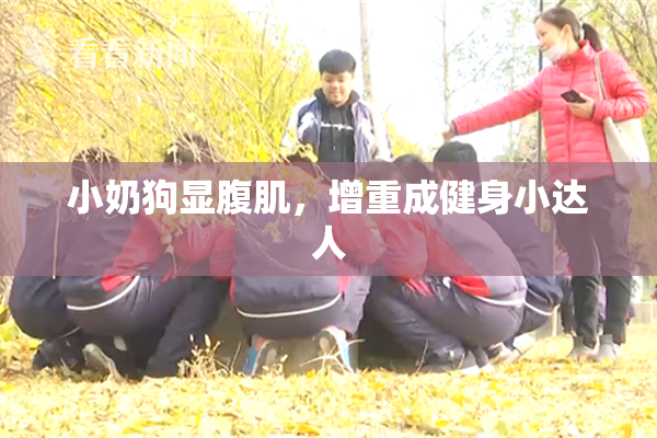 小奶狗显腹肌，增重成健身小达人