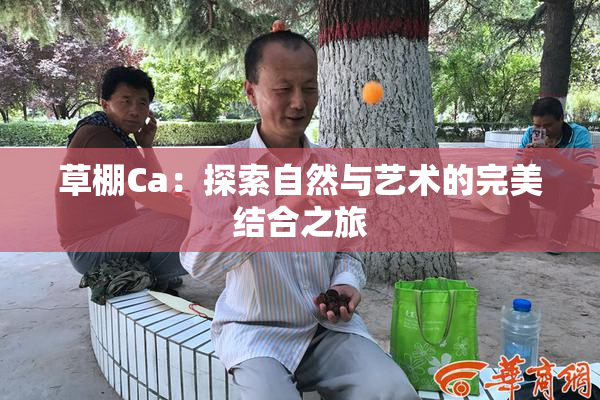 草棚Ca：探索自然与艺术的完美结合之旅