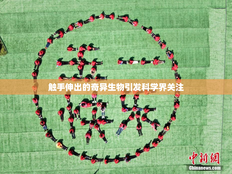 触手伸出的奇异生物引发科学界关注