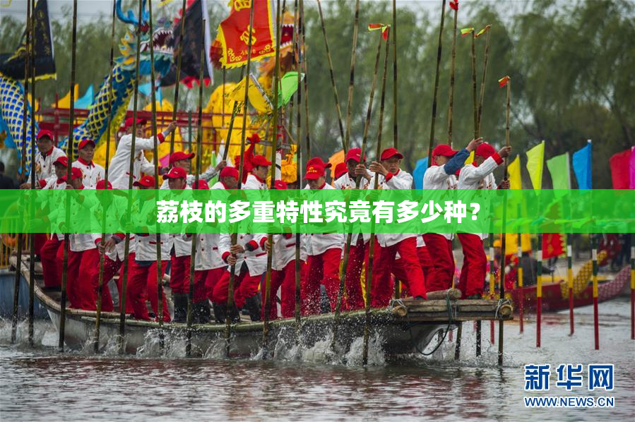荔枝的多重特性究竟有多少种？