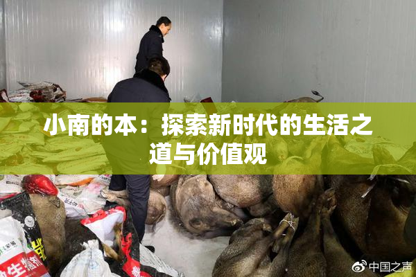 小南的本：探索新时代的生活之道与价值观