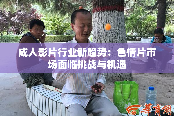 成人影片行业新趋势：色情片市场面临挑战与机遇