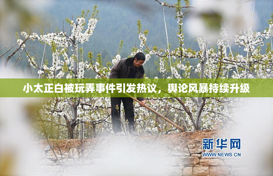 小太正白被玩弄事件引发热议，舆论风暴持续升级