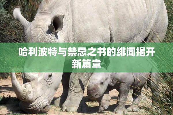 哈利波特与禁忌之书的绯闻揭开新篇章