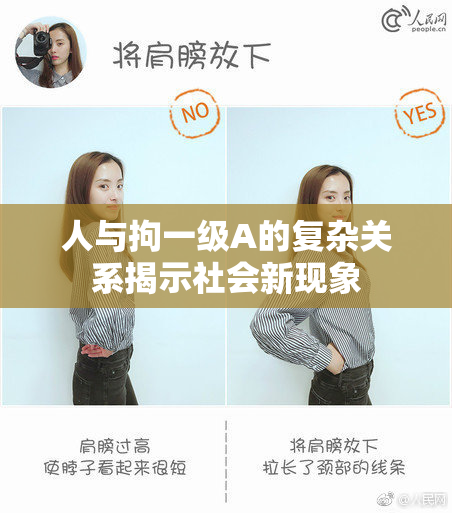 人与拘一级A的复杂关系揭示社会新现象