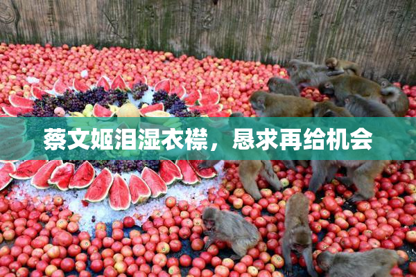 蔡文姬泪湿衣襟，恳求再给机会
