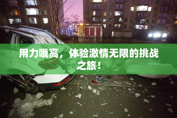 用力哦高，体验激情无限的挑战之旅！