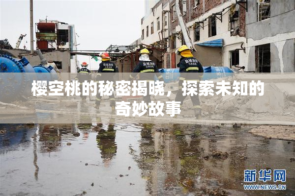 樱空桃的秘密揭晓，探索未知的奇妙故事