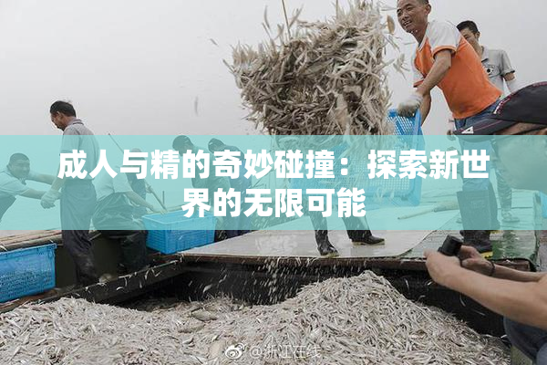 成人与精的奇妙碰撞：探索新世界的无限可能