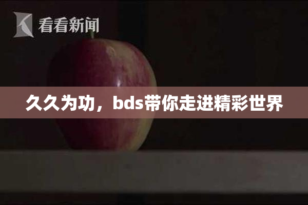 久久为功，bds带你走进精彩世界