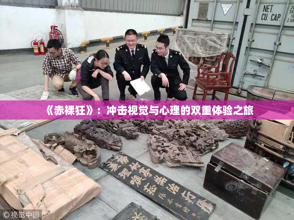 《赤裸狂》：冲击视觉与心理的双重体验之旅